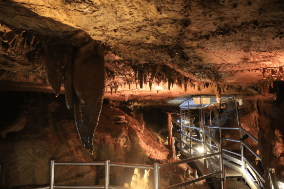 천곡황금박쥐동굴