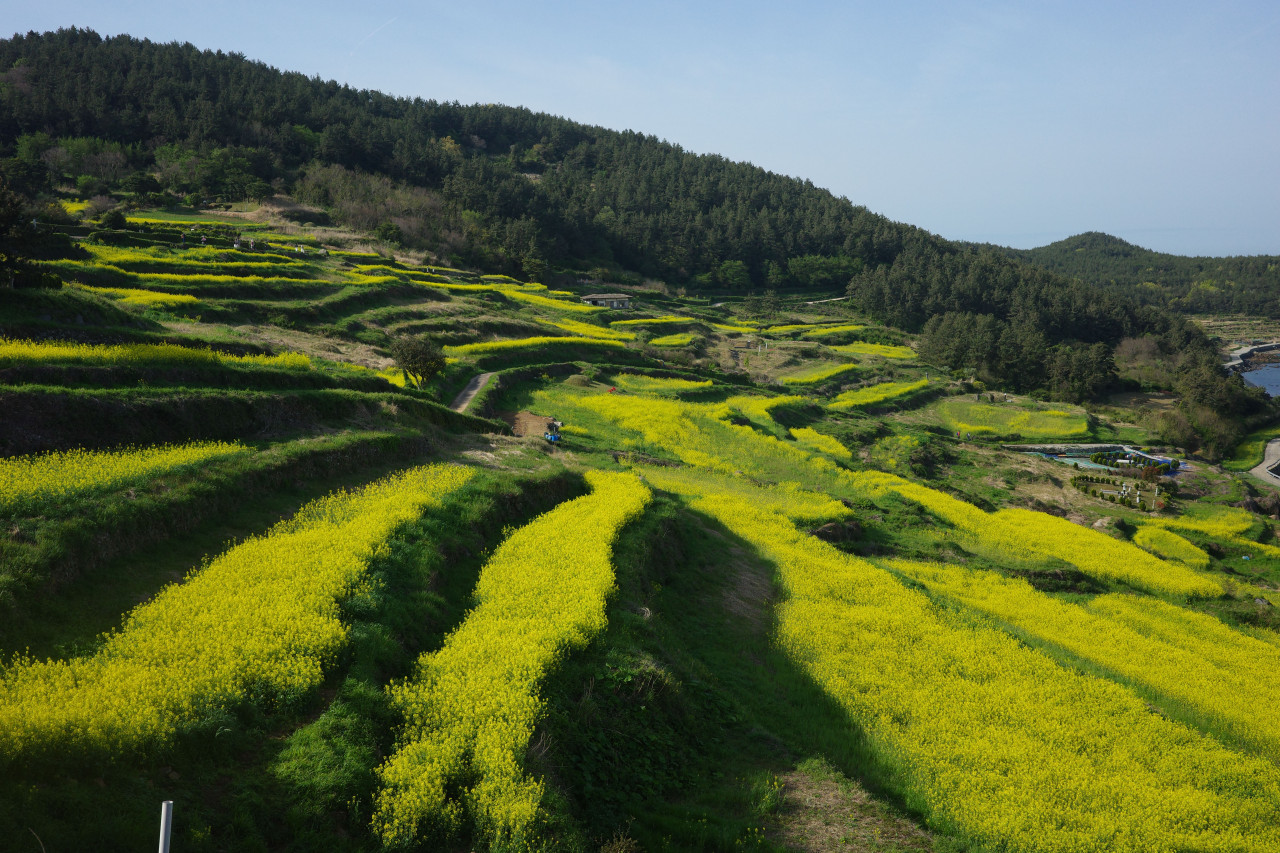 생생정보 믿고 떠나는 스타의 고장