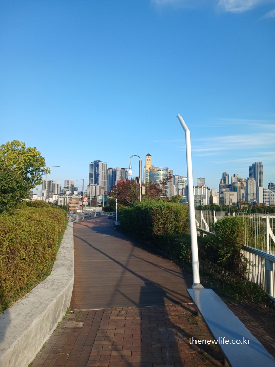 광진교 8번가 가는 길 – 낮 시간대의 한강 산책로 전경