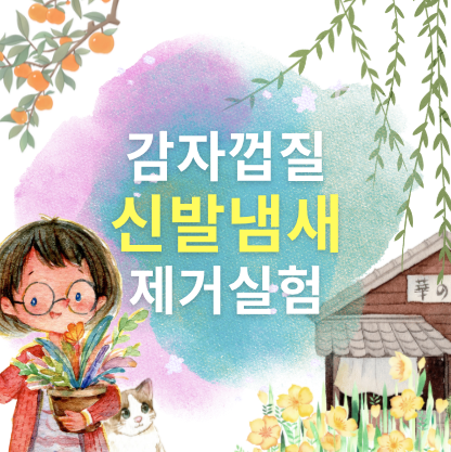 감자껍질 신발냄새 제거실험