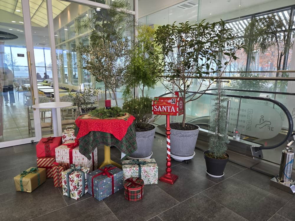 송도 웁스어데이지