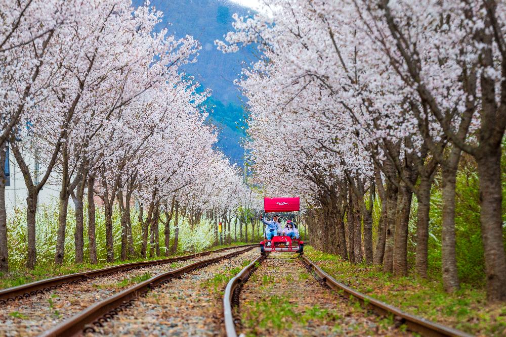 강촌레일바이크