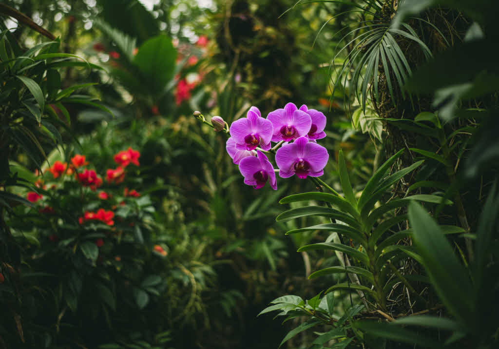 기초연금, 나도 받을 수 있을까? 소득 기준과 계산법