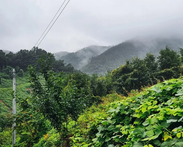제천 가볼만한곳 베스트10 현지인 추천 필수코스_3