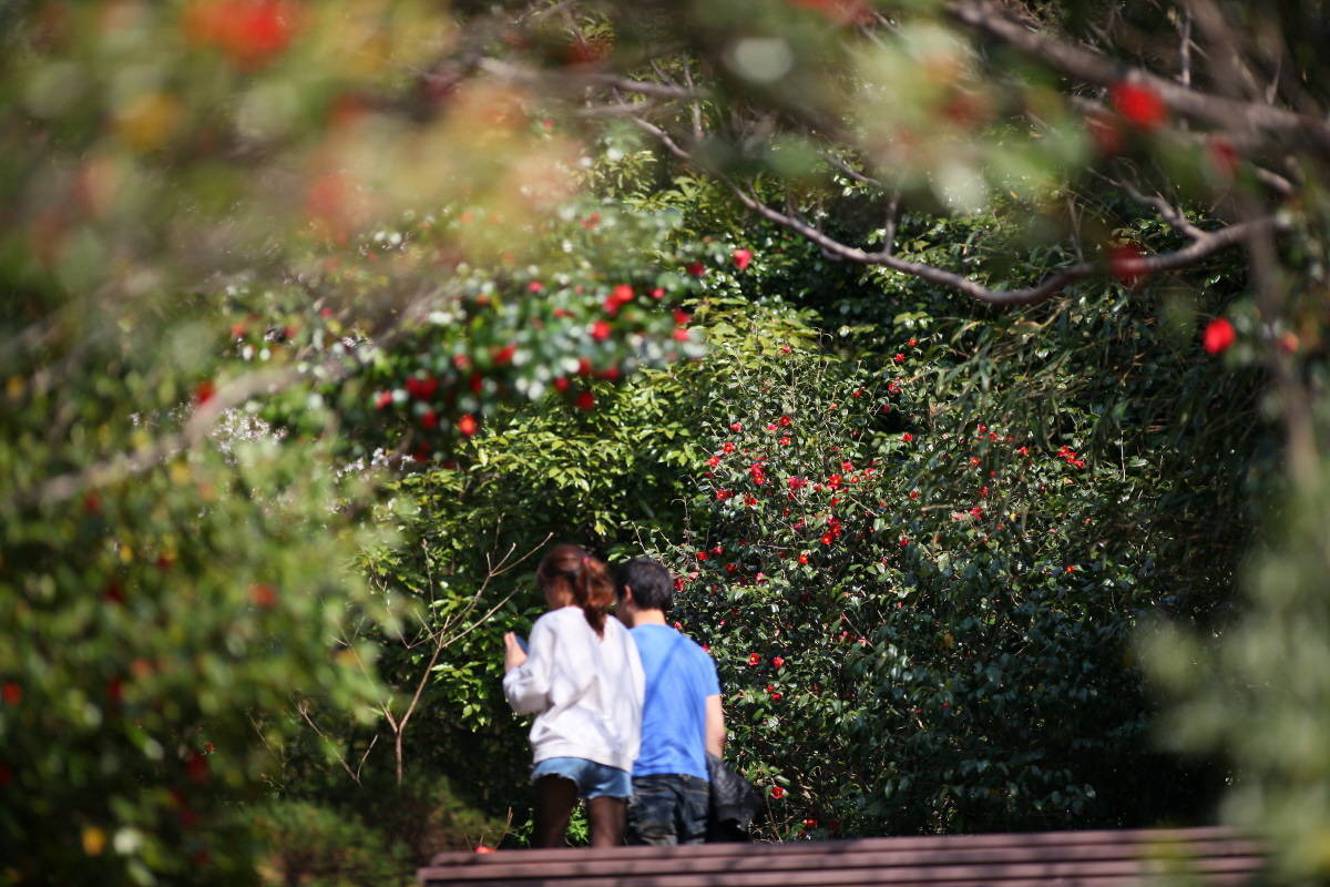 여수밤바다 불꽃축제 2025