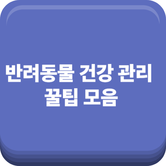 반려동물 건강 관리 꿀팁 모음