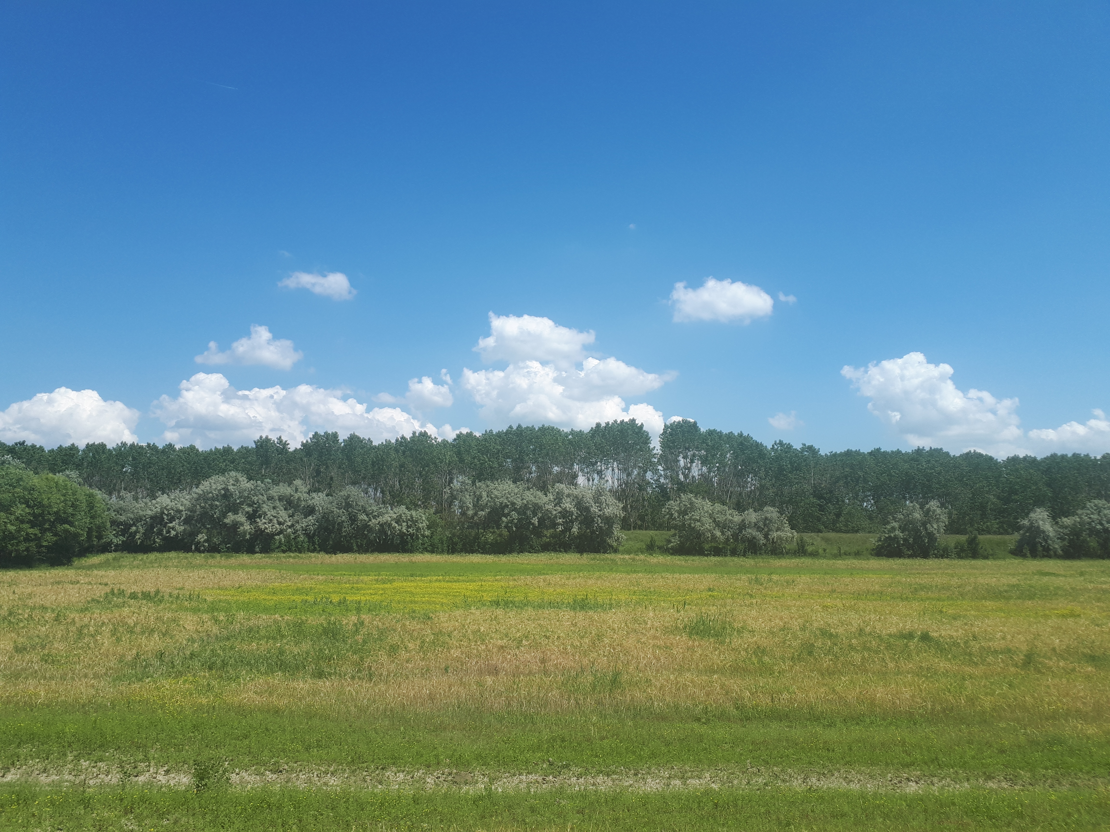 루마니아 흐르쇼바 녹음