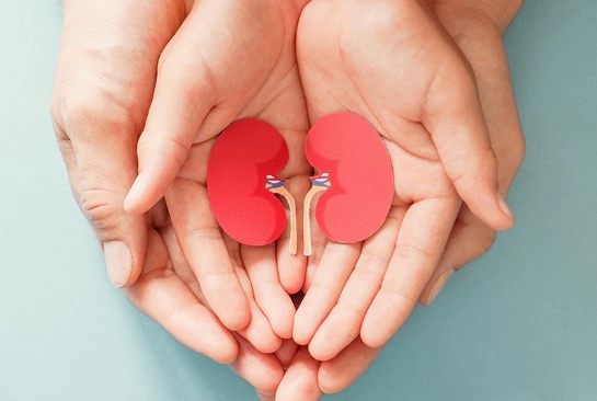 신장에 좋은 음식 14가지