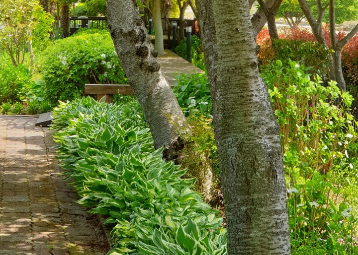 특색 있고 아름다운 민간 정원 30선 추천 여행 - 17. 고흥 하담정 (남포미술관)