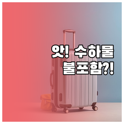 라이트 운임 수하물 포함 안됨 미리 ..