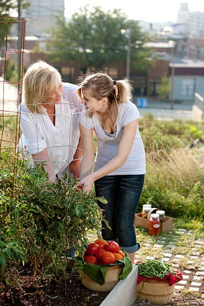 도시 농업을 통해 세대 간 소통을 촉진하는 방법