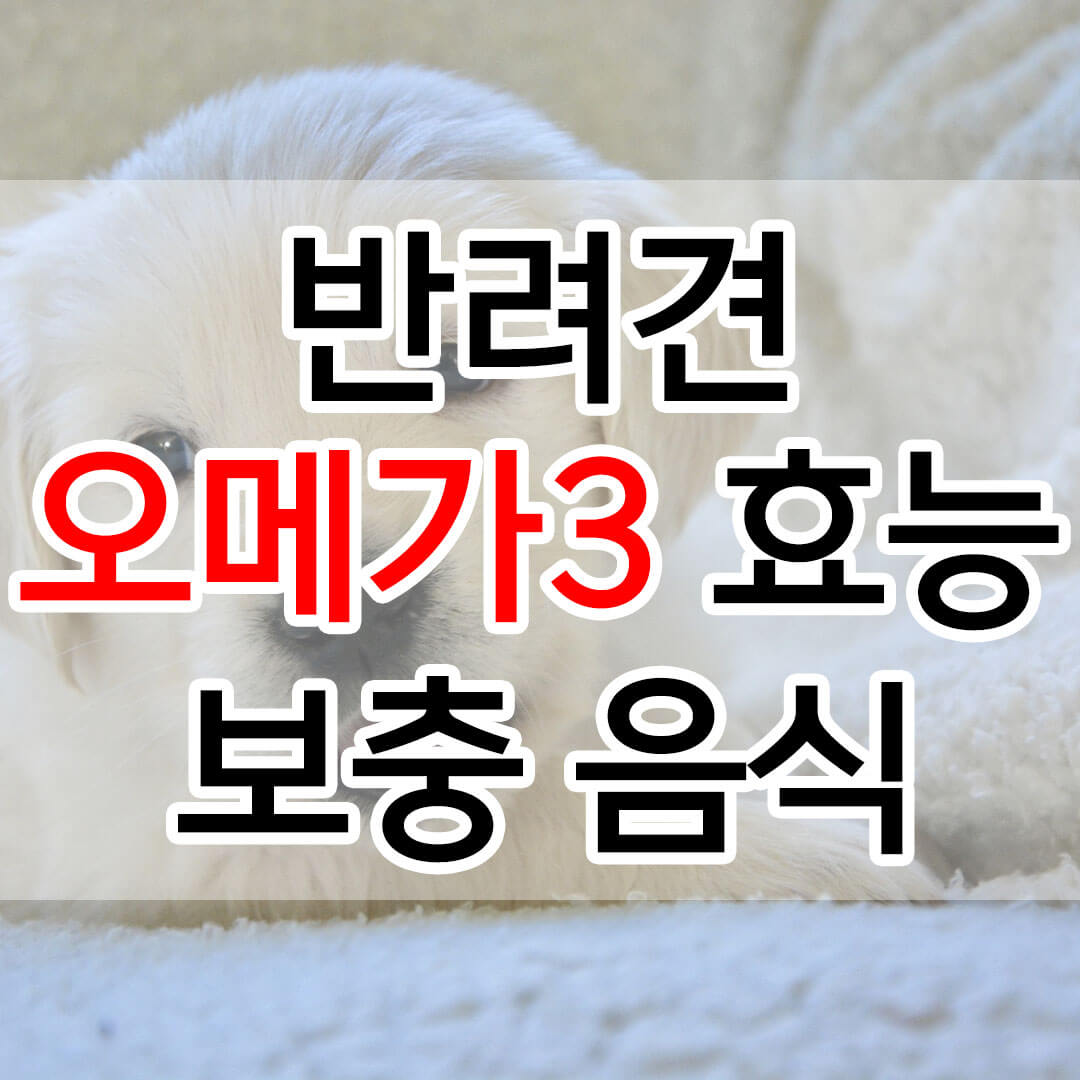 반려견 오메가3