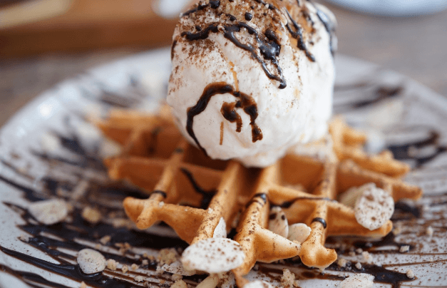 베라31 사전예약