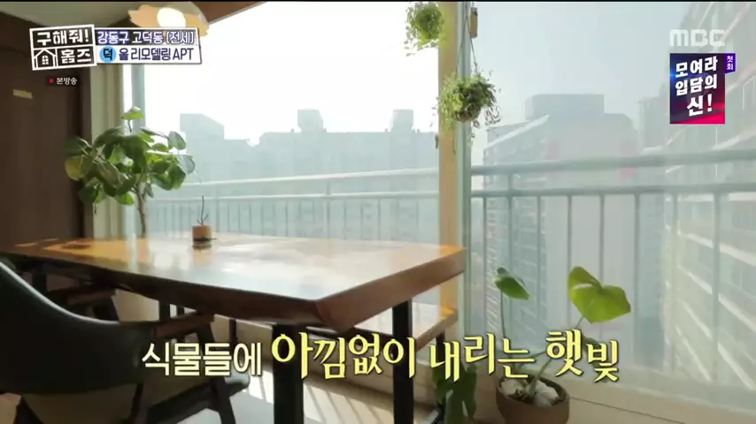 구해줘홈즈 고덕한 산책가 동물병원 인접 강동구 고덕 전세 매매 매물 가격 및 구조 인테리어 리모델링 최종선택 강재준 양세찬 소개