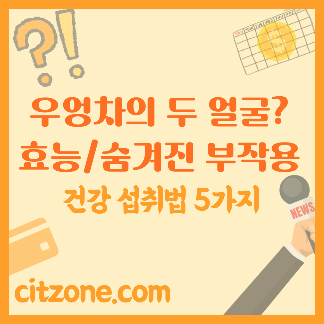 우엉차의 두 얼굴? 효능부터 숨겨진 부작용, 그리고 건강 섭취법 5가지 썸네일