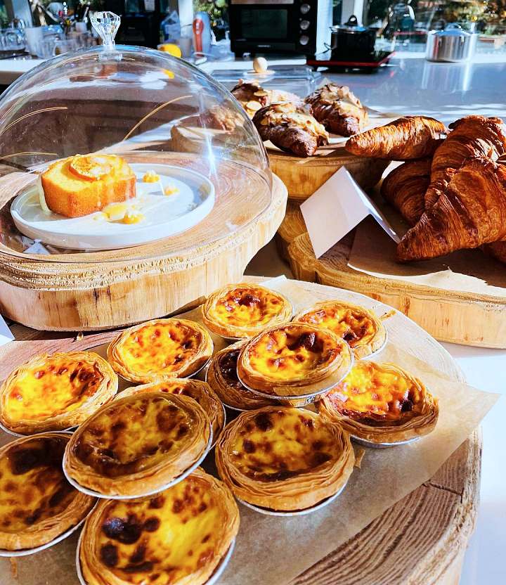 생방송오늘저녁 제주 인생샷 핫스팟 크림 쇼콜라 커피 디저트 3,500평 동백 가드닝 베이커리 카페 맛집 추천