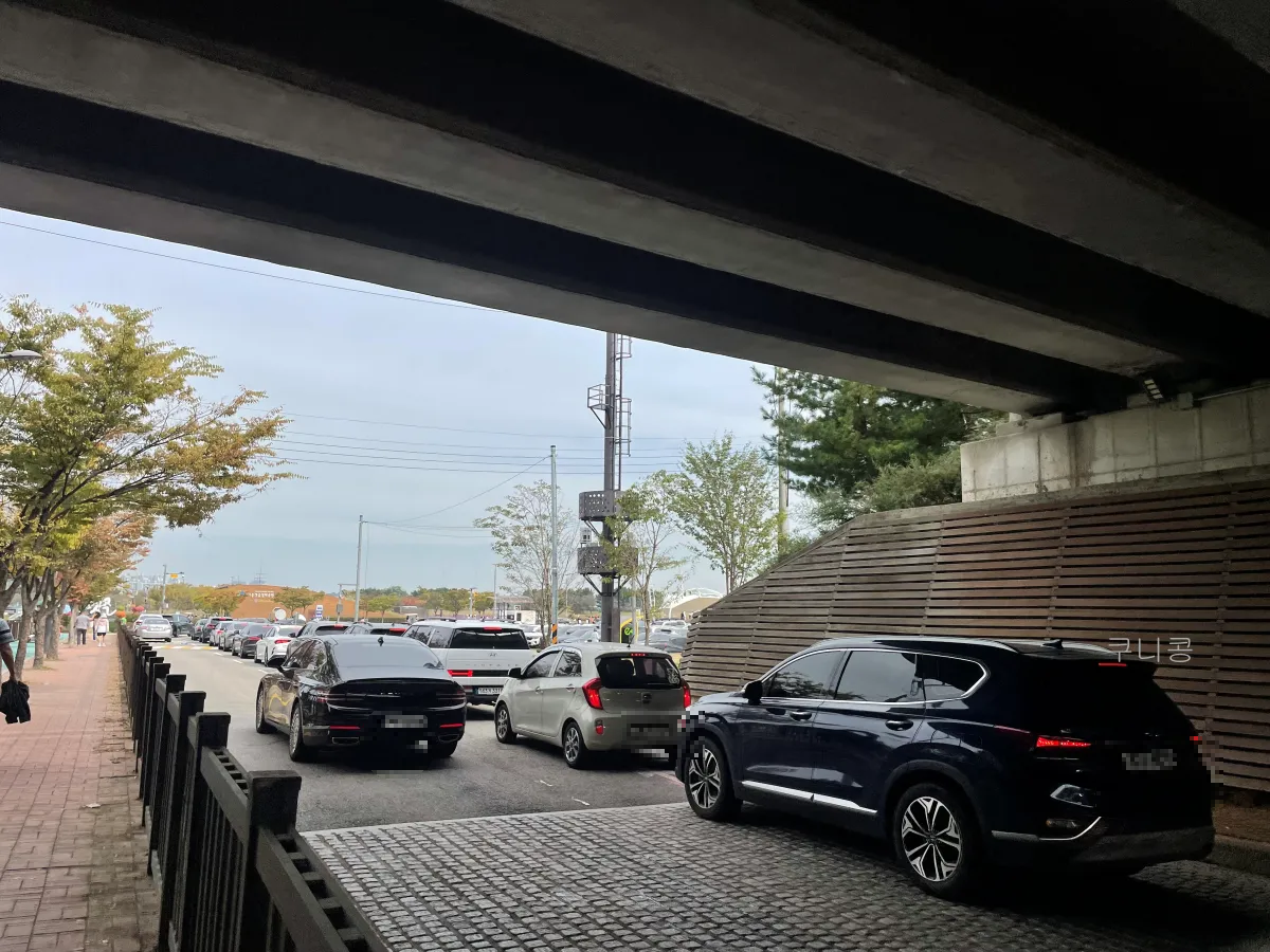 서울-근교-나들이-가볼만한곳-추천-억새-코스모스-시흥갯골생태공원-무료-주차-꿀팁