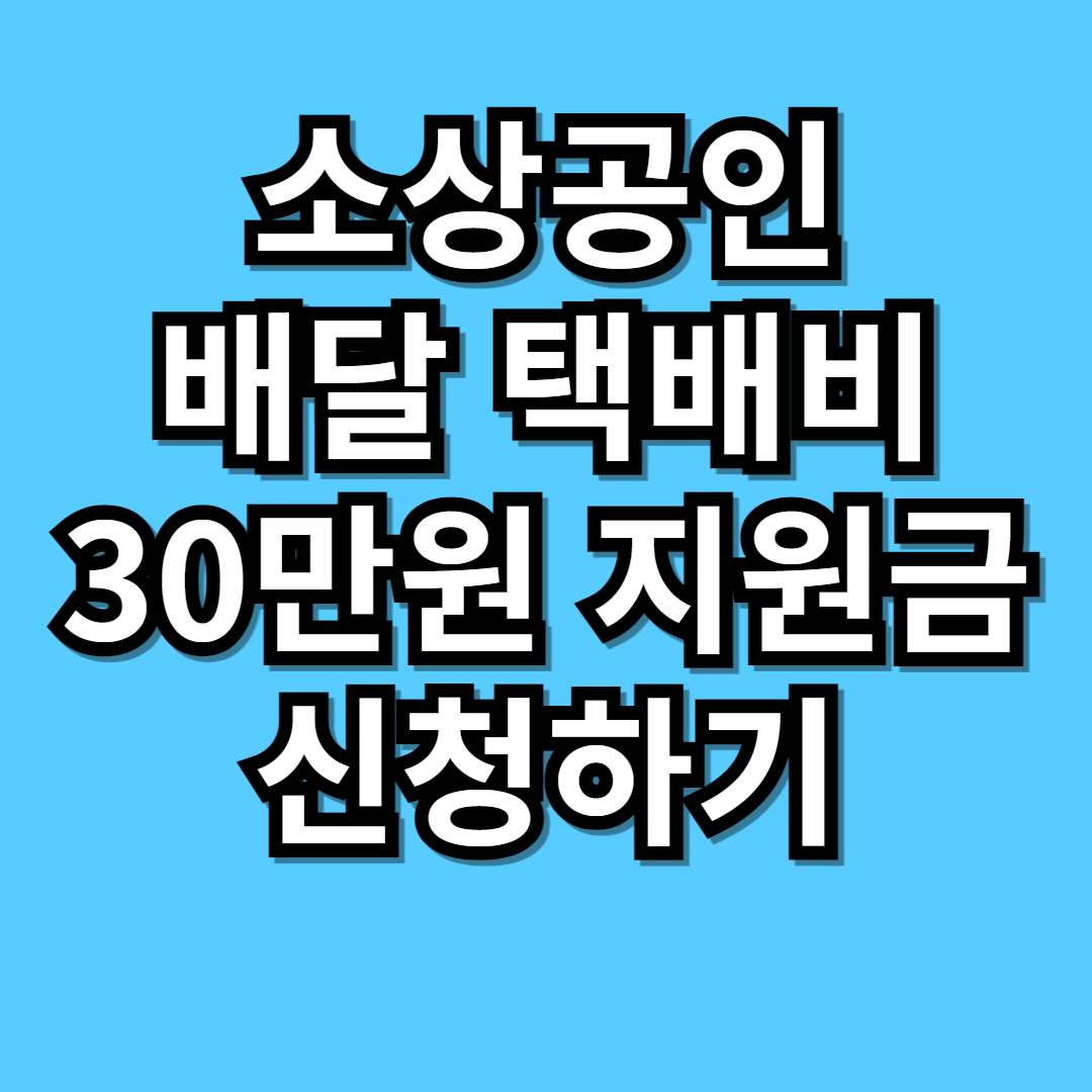 배달택배비 30만원지원금