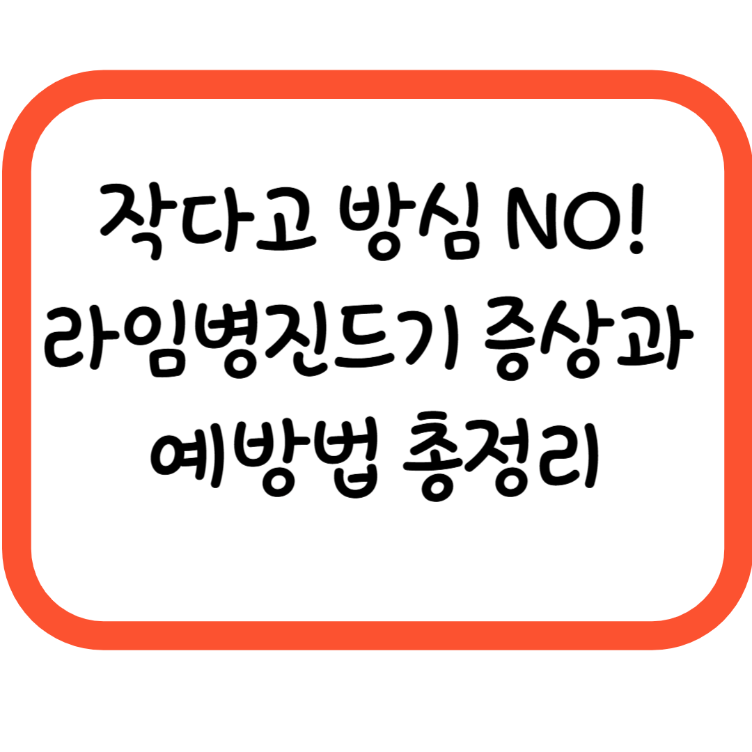 라임병진드기 조심하세요! 증상부터 예방법까지 총정리