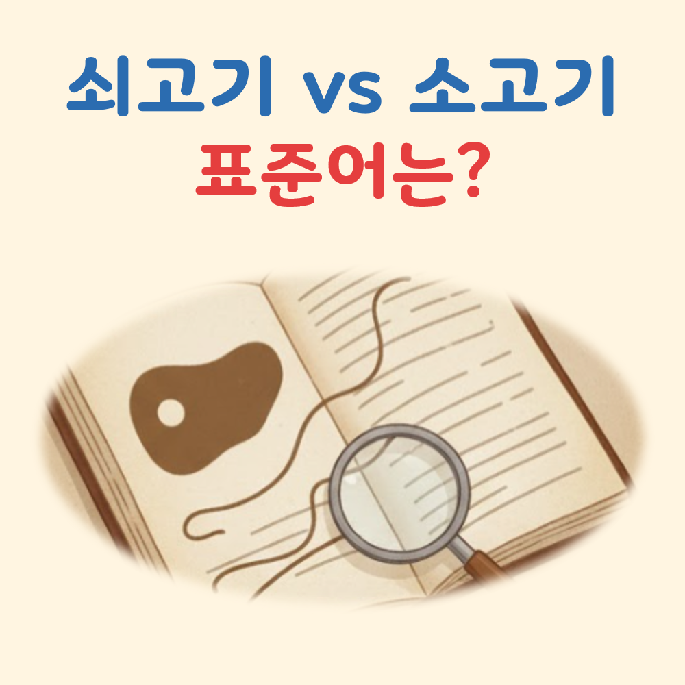 쇠고기 소고기 표준어