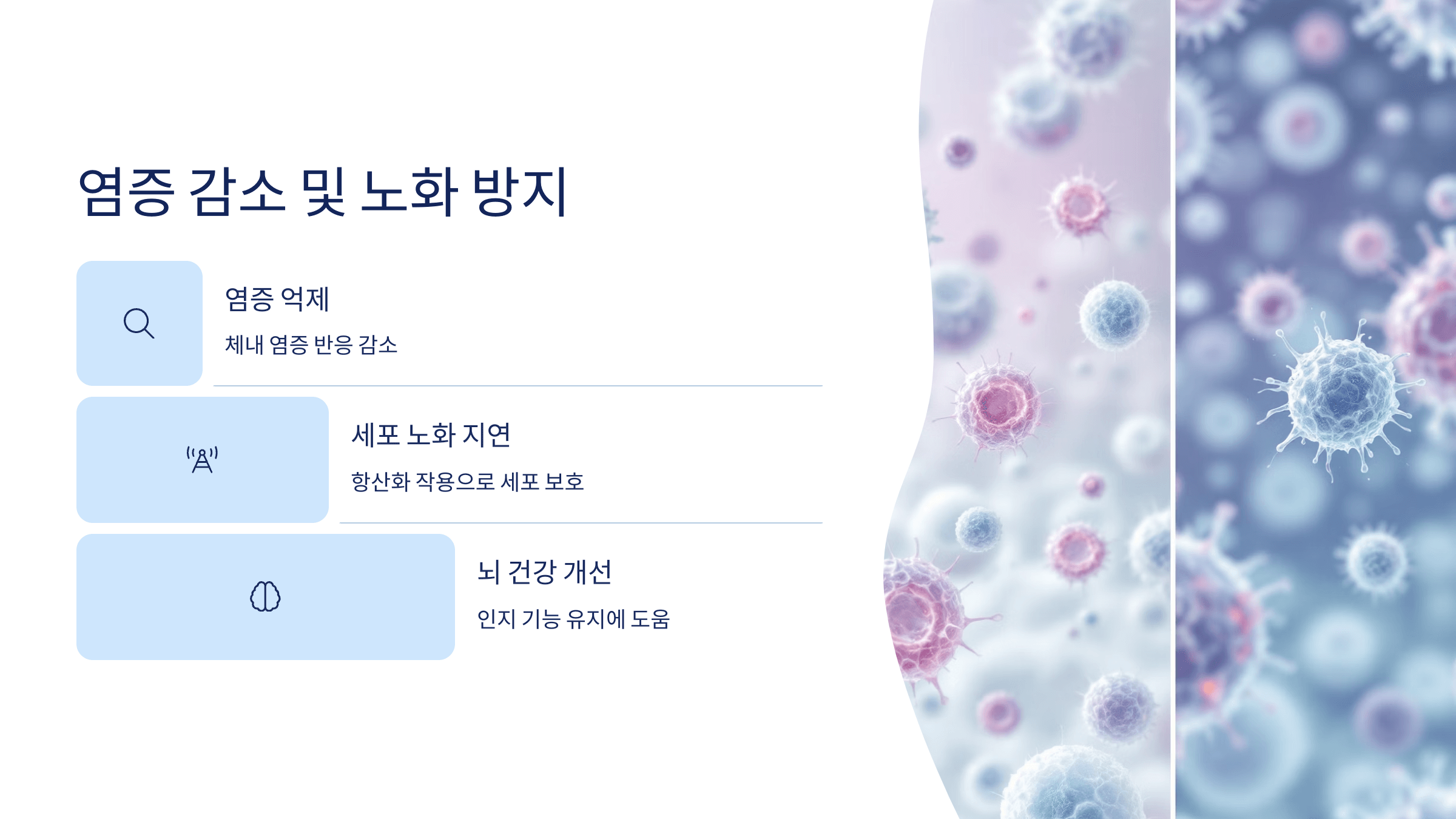 비타민K2 사진입니다.