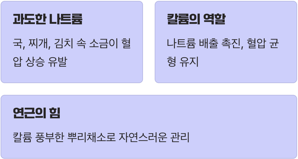 핏줄 속 나트륨을 내보내는 해결사
