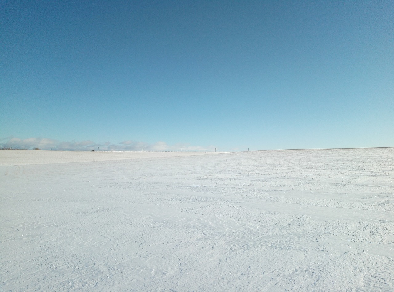 하얀 눈인 자연이 쌓인 하늘과 맞닿은것처럼 보이는 사진