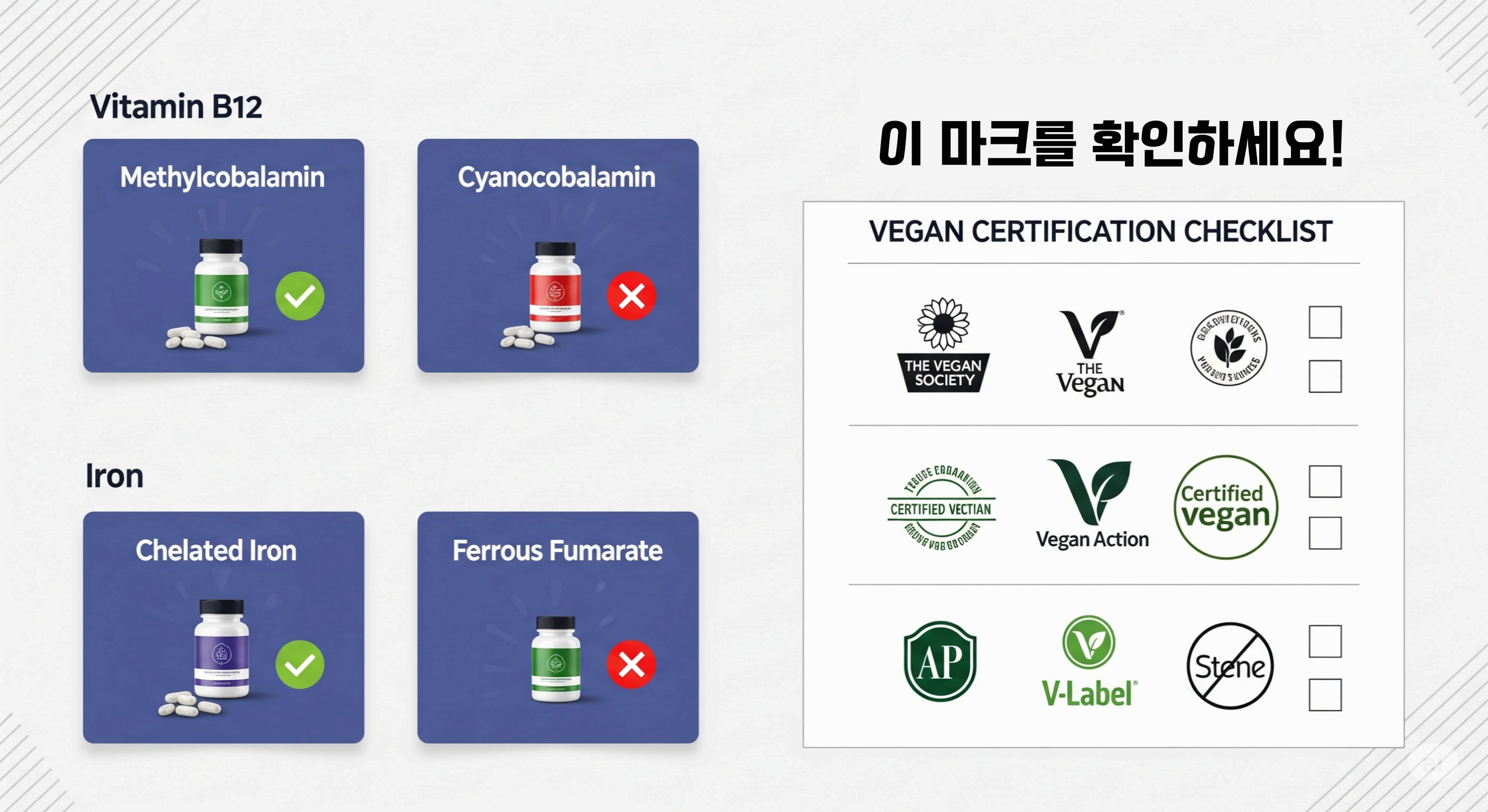 여성 비건을 위한 라이프스타일 팁