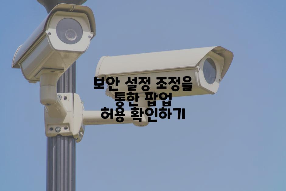 보안 설정 조정을 통한 팝업 허용 확인하기