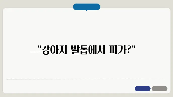 강아지 발톱 피
