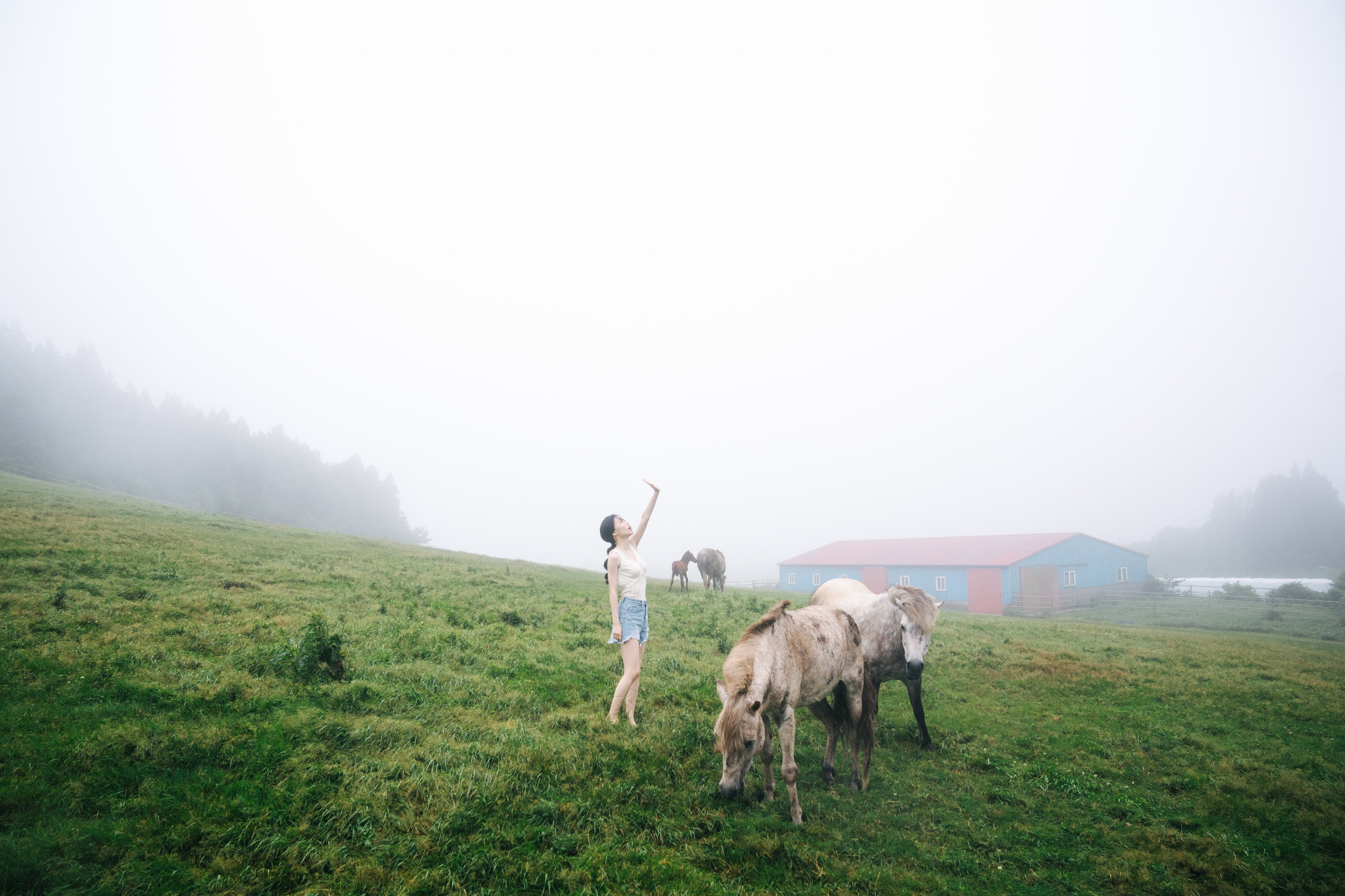 ⓒ시즈닝그라피 , Alpha 9 ㅣ SEL2470GM