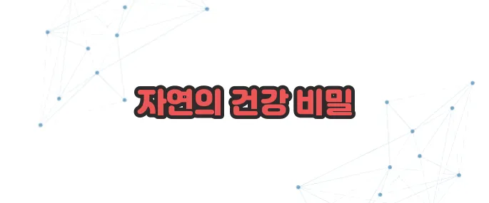 우엉차 효능 이보다 자세히 설명할순없다