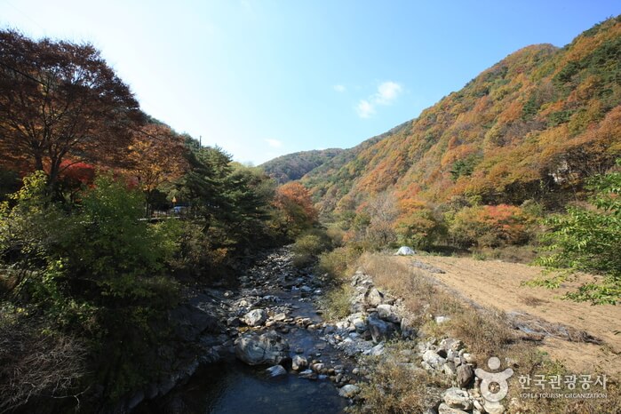 가을 여행지 단풍 놀이 추천 장소