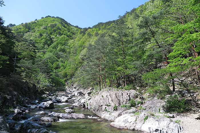 ์์ ๋ฏธ์ฒ๊ณจ ์์ฐํด์๋ฆผ ์บ ํ์ฅ ์ฃผ๋ณ ๋ง์ง ์นดํ ๋งํธ ์ ํต์์ฅ ํน์ฐ๋ฌผ ๊ฐ์์ง ๋๋ฐ ์ ๋ณด