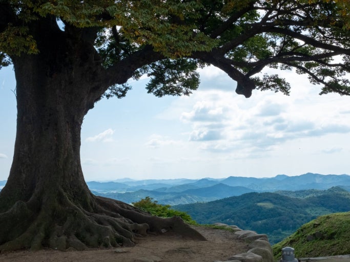 부여 가볼만한곳 베스트10