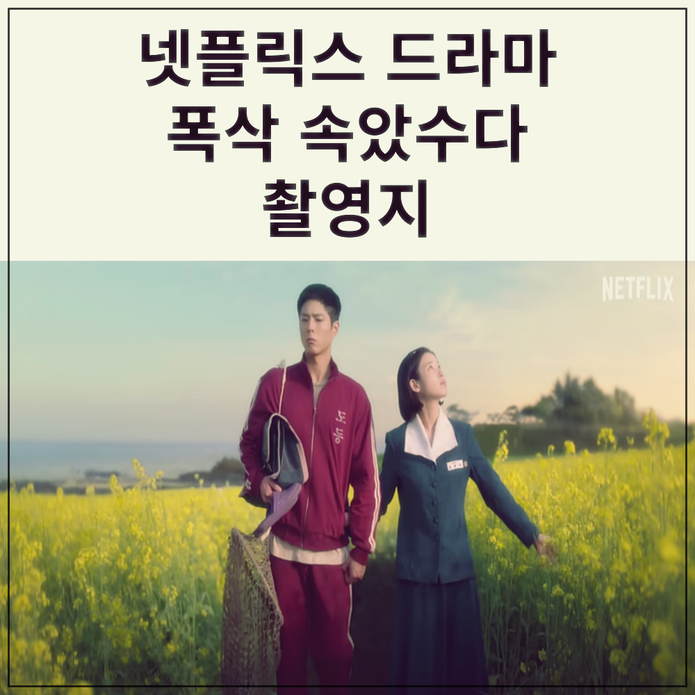 넷플릭스 드라마 폭싹 속았수다 촬영지