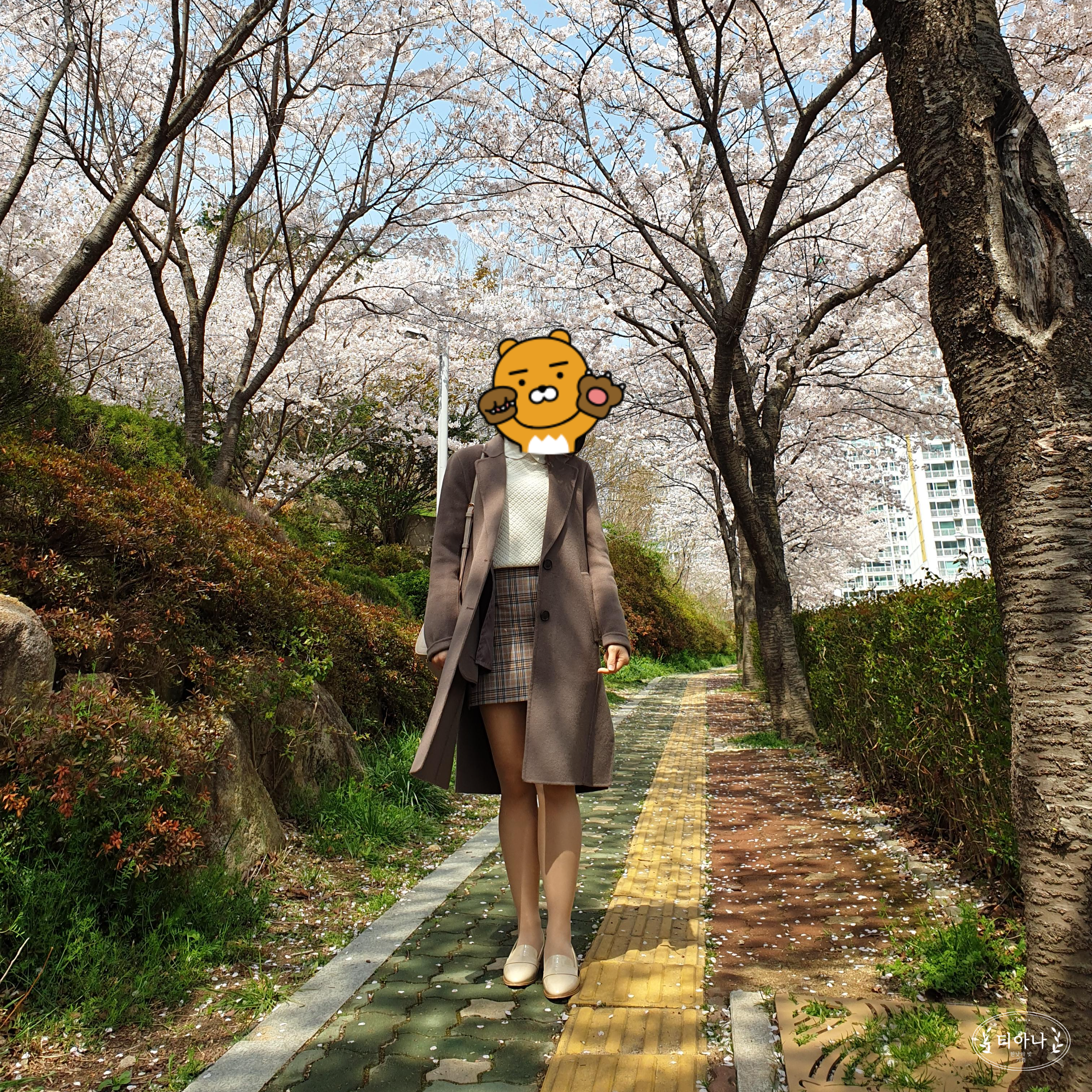 평생 40kg대를 넘지 않았던 나의 생활 습관