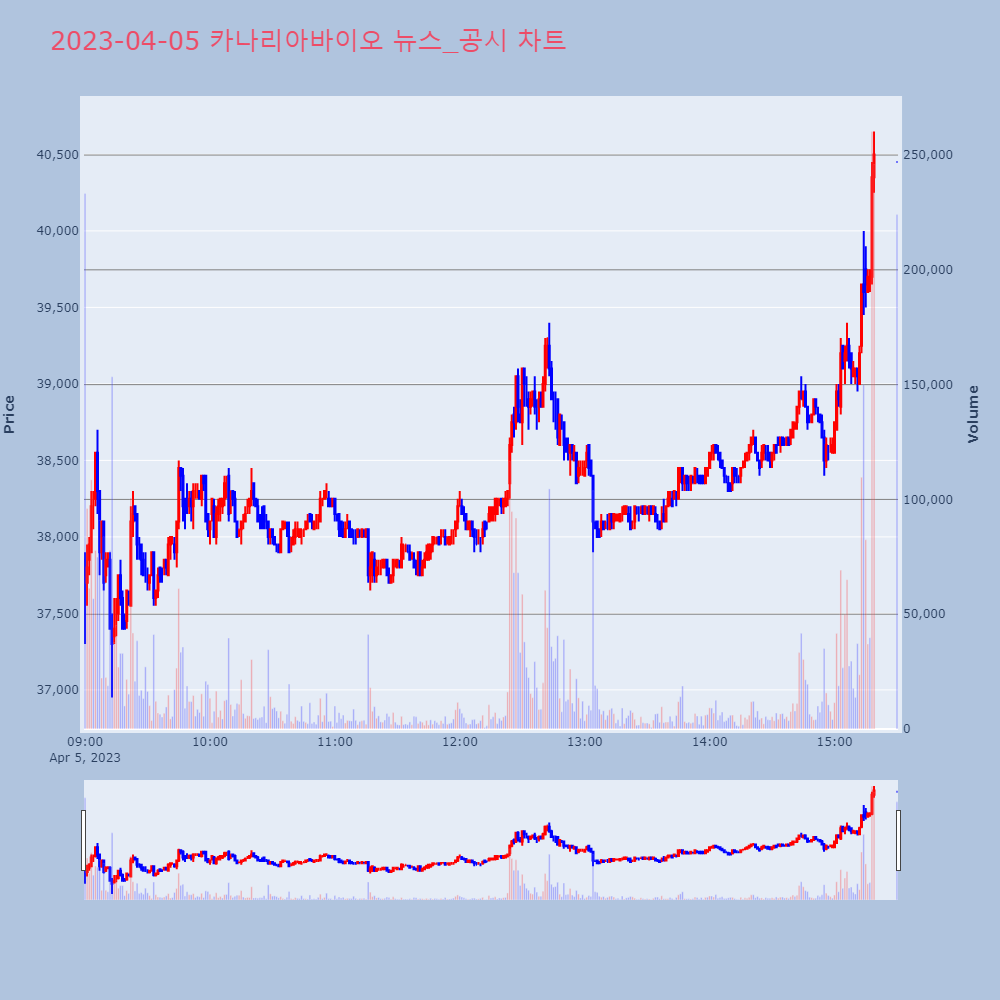 카나리아바이오_뉴스공시차트