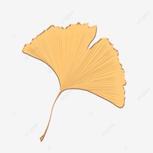 은행잎