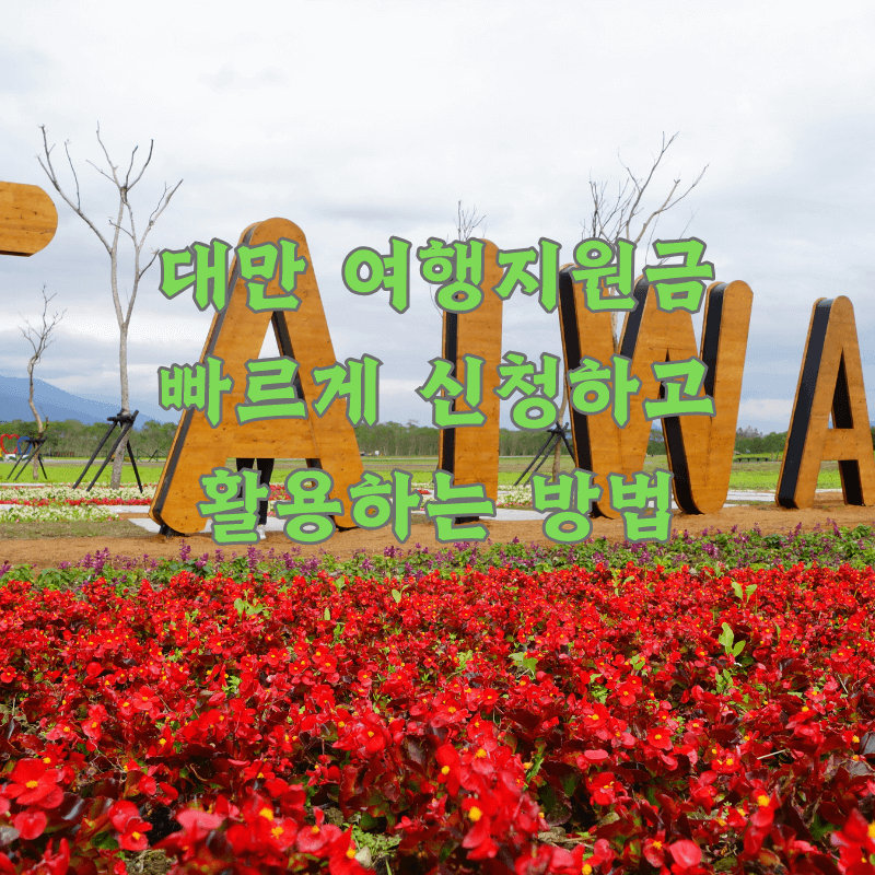 대만 여행지원금 활용법