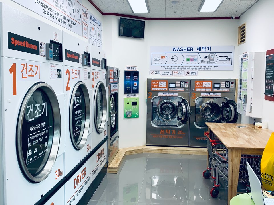 셀피아 소사점