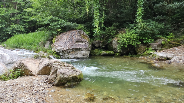 자연 속 진짜 쉼, 수동계곡에서 보내는 여름 하루