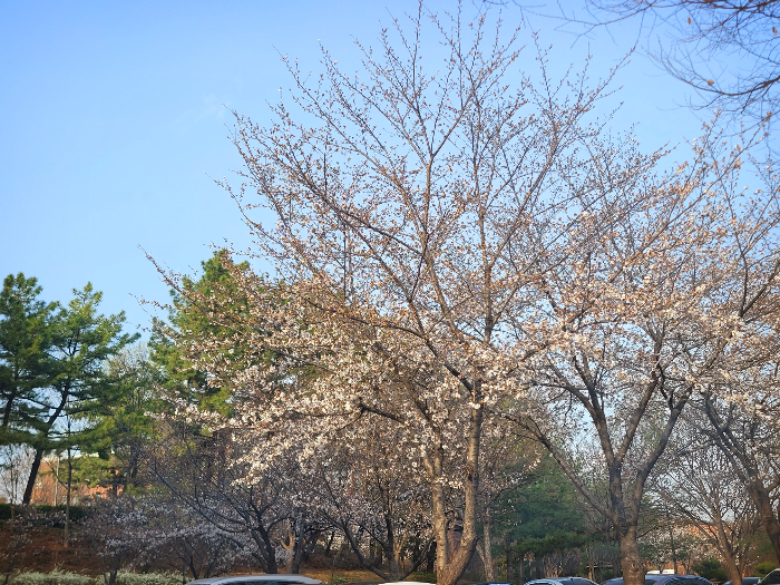 계명대학교 성서캠퍼스