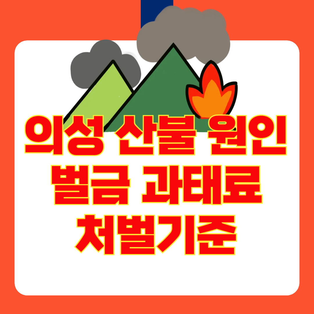 2025 의성 산불 원인과 현재 상황 총정리! (+산불 벌금 과태료 처벌기준)