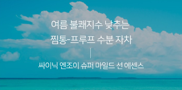 수부지 복합성 피부 선크림 추천