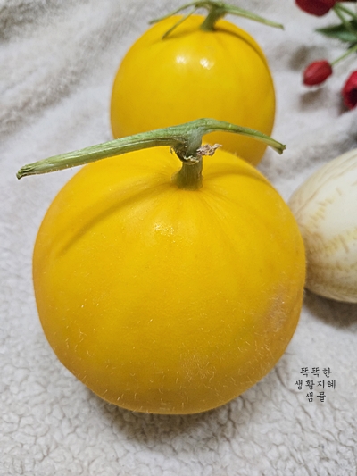 고령에서 재배된 양구멜론