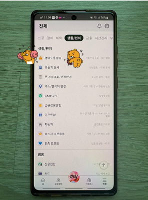 pass 명의도용방지