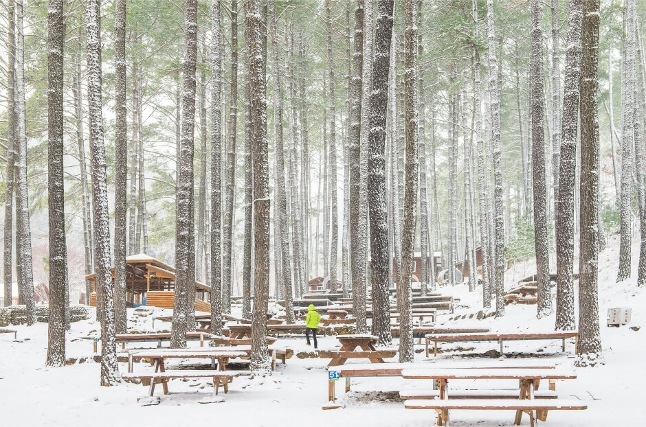 2월 국내 여행지 베스트 10