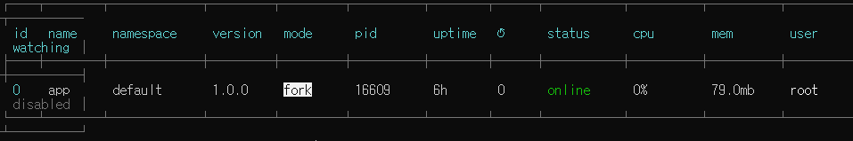 pm2 list 실행화면