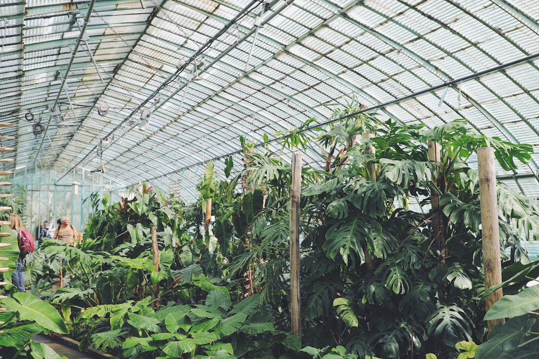 'Botanical Garden'